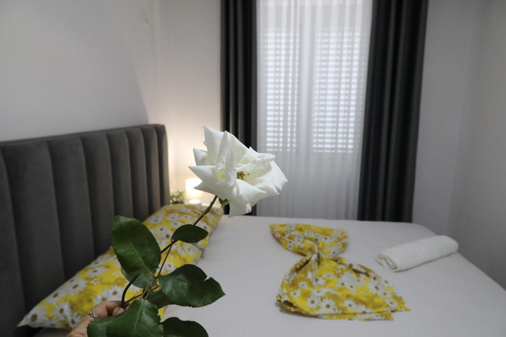 Rozafa Guest Room Center Shkodër Exterior foto
